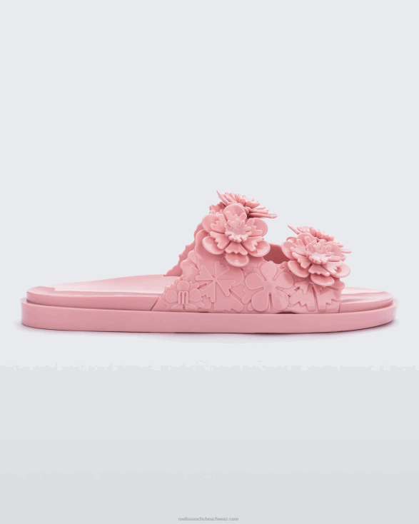 Rosa melissa wide blossom viktor & rolf rutsche 4L8R2242